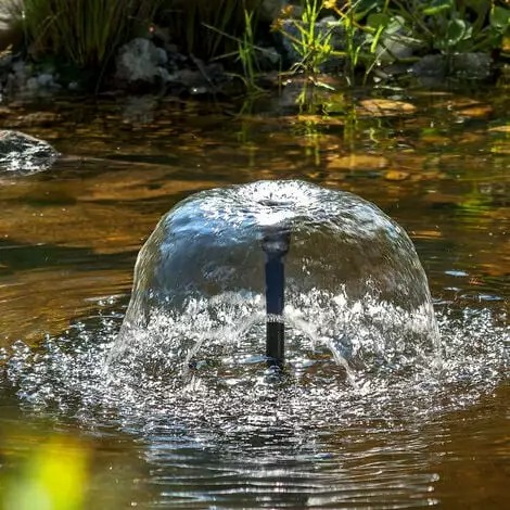 Sortie ❤️ Kit Filtre Solaire Pour Bassin 50/1700 + Batterie Filtre Pour Pompe Solaire Bassin De Jardin Esotec 101075 ✔️ 6 Sortie ❤️ Kit Filtre Solaire Pour Bassin 50/1700 + Batterie Filtre Pour Pompe Solaire Bassin De Jardin Esotec 101075 ✔️ – Image 4