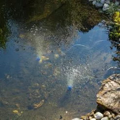 De gros ? Aérateur De Bassin Solaire 5W 200 L/h Pompe Aération De Bassin Oxygène Esotec 101844 ? 9 De gros ? Aérateur De Bassin Solaire 5W 200 L/h Pompe Aération De Bassin Oxygène Esotec 101844 ? -Esotec Boutique 26787597 3