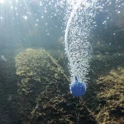 Acheter ? Aérateur De Bassin Solaire 8W 200 L/h Pompe Aération De Bassin Oxygène Esotec 101845 ⌛ -Esotec Boutique 26787610 5