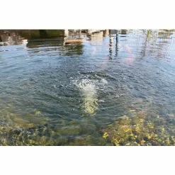 Tout neuf ? Aérateur De Bassin De Pompe Solaire De Remplacement 6-9V Bassin D’oxygène Bassin De Jardin Esotec 101871 ⌛ -Esotec Boutique 26787657 3