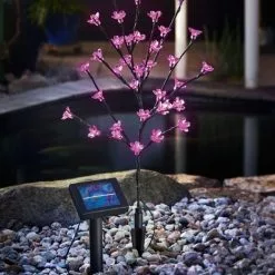 Bon marché ? Arbuste à Fleurs Solaire Lumière Décorative Lampe Solaire Lampe De Jardin Extérieur LED Esotec 102104 ? -Esotec Boutique 26788140 3