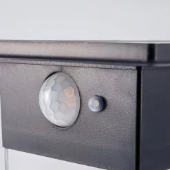 Meilleure affaire ? Capteur Solaire Path Light 600 Lm Lampadaire Jardin Lumière Solaire Esotec 102740 ? -Esotec Boutique 26788721 4