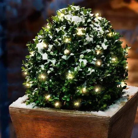 Nouveau ? Chaîne Lumineuse Solaire Premium 24 LED Décoration De Noël De Jardin Blanc Chaud Esotec 102166 ? 3 Nouveau ? Chaîne Lumineuse Solaire Premium 24 LED Décoration De Noël De Jardin Blanc Chaud Esotec 102166 ?