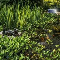 Le moins cher ❤️ Gargouille Grenouille + Pompe Solaire Détang 8 Watts Deau étang Esotec 101650 ? -Esotec Boutique 28040736 3